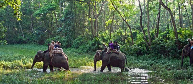 chitwan-tour-from-gorakhpur